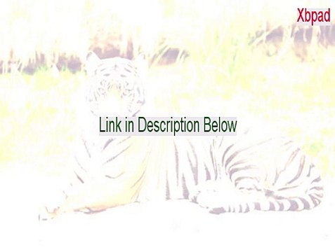 Xbpad Key Gen (Instant Download)