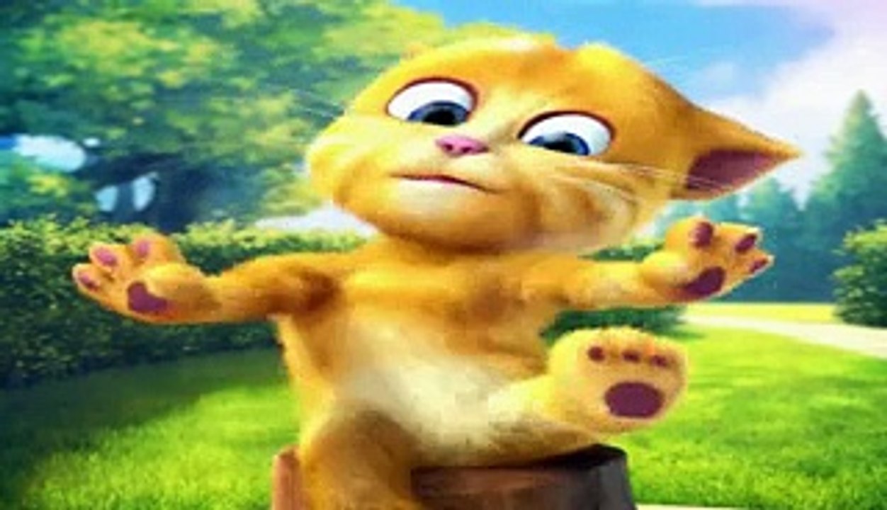 Funny cats videos talking