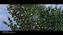 For a Few Dollars More (6 - 10) Movie CLIP - Shooting Fruit (1965) HD