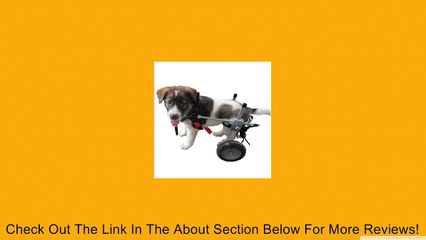 Best Friend Mobility Dog Wheelchair 20-40 lbs, Small Review