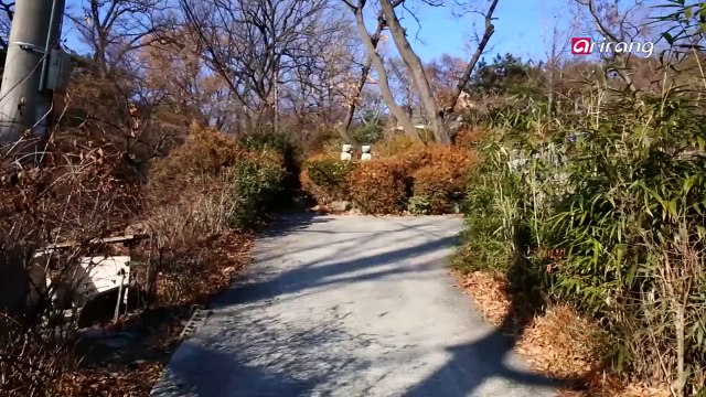 Did Kansong study art when he was attending university in Tokyo 간송은 도쿄에서 대학을 다니면서 미술 공부를 해왔는지