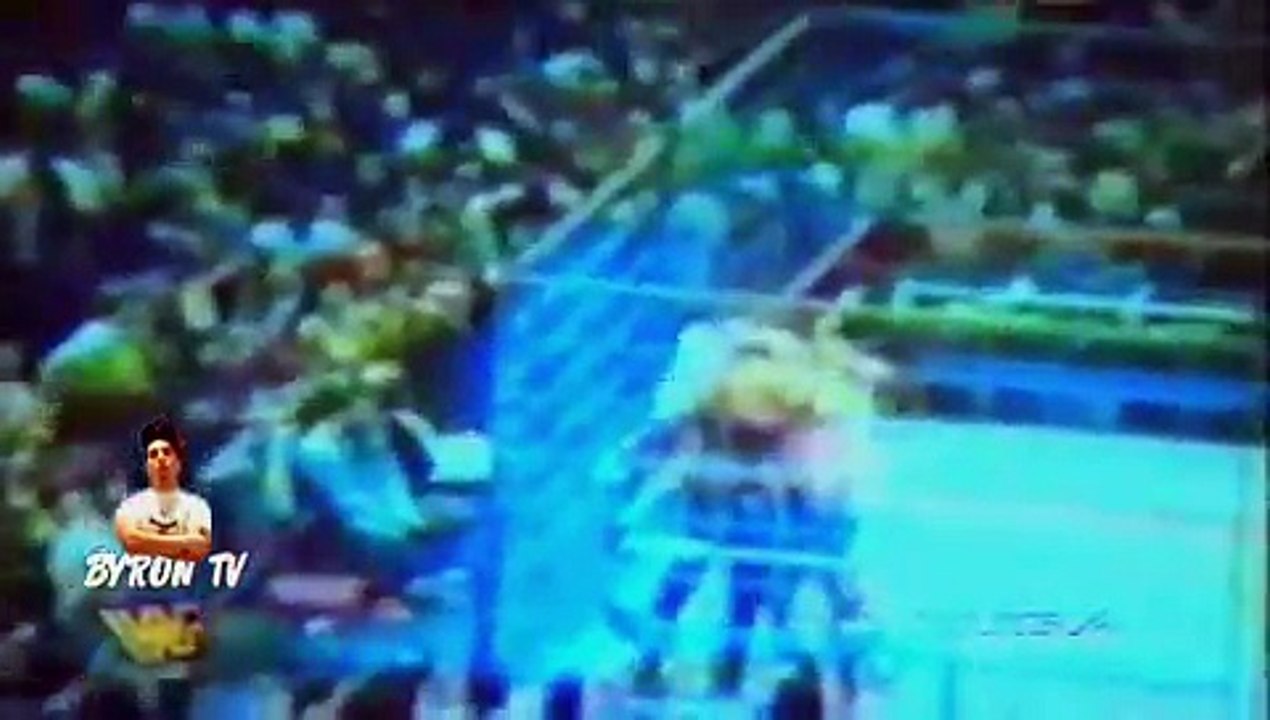 Bret Hart calls HHH and HBK Homos