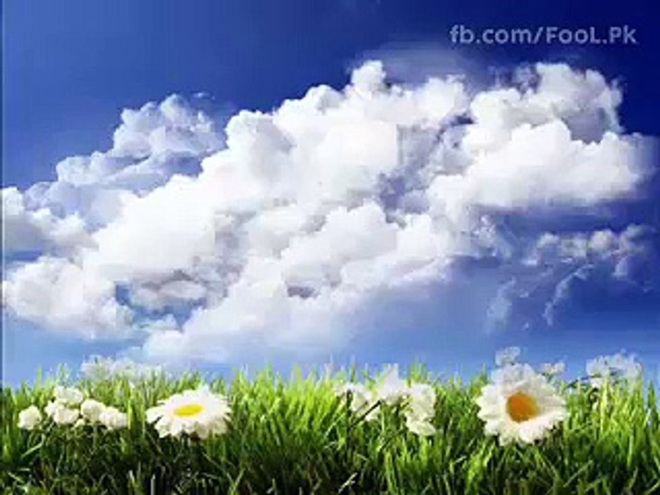 سلطان محمود غزنوی کی قبر کھولی گئی تو کیا ہوا