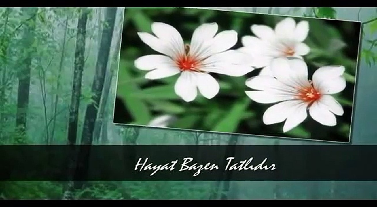 Zeki Müren  ♫♥♪ Hayat Bazen Tatlıdır  ♫♥♪