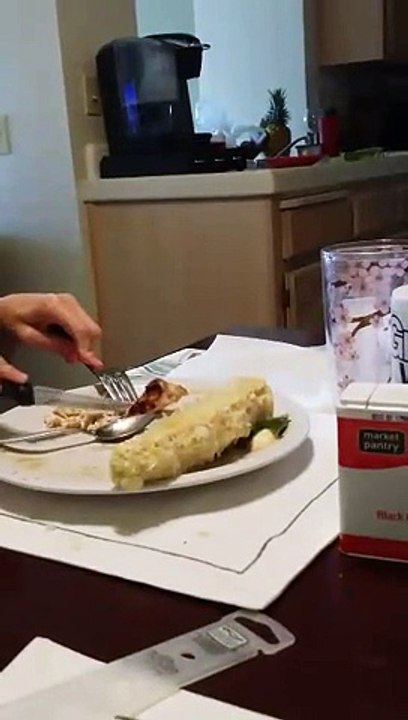 Bouncing dog jumps to beg at dinner table