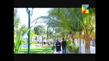 Sartaj Mera Tu Raj Mera OST HUM TV Drama