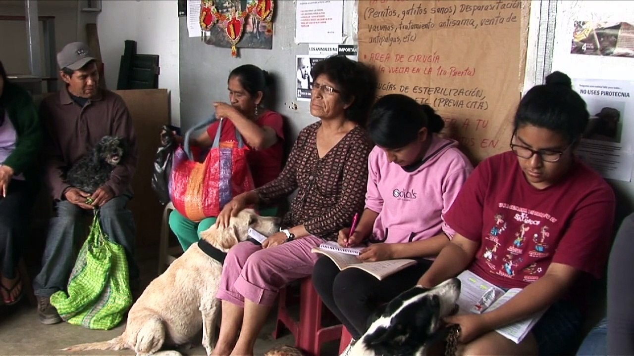 Tierarzt mit Herz für die Ärmsten in Lima