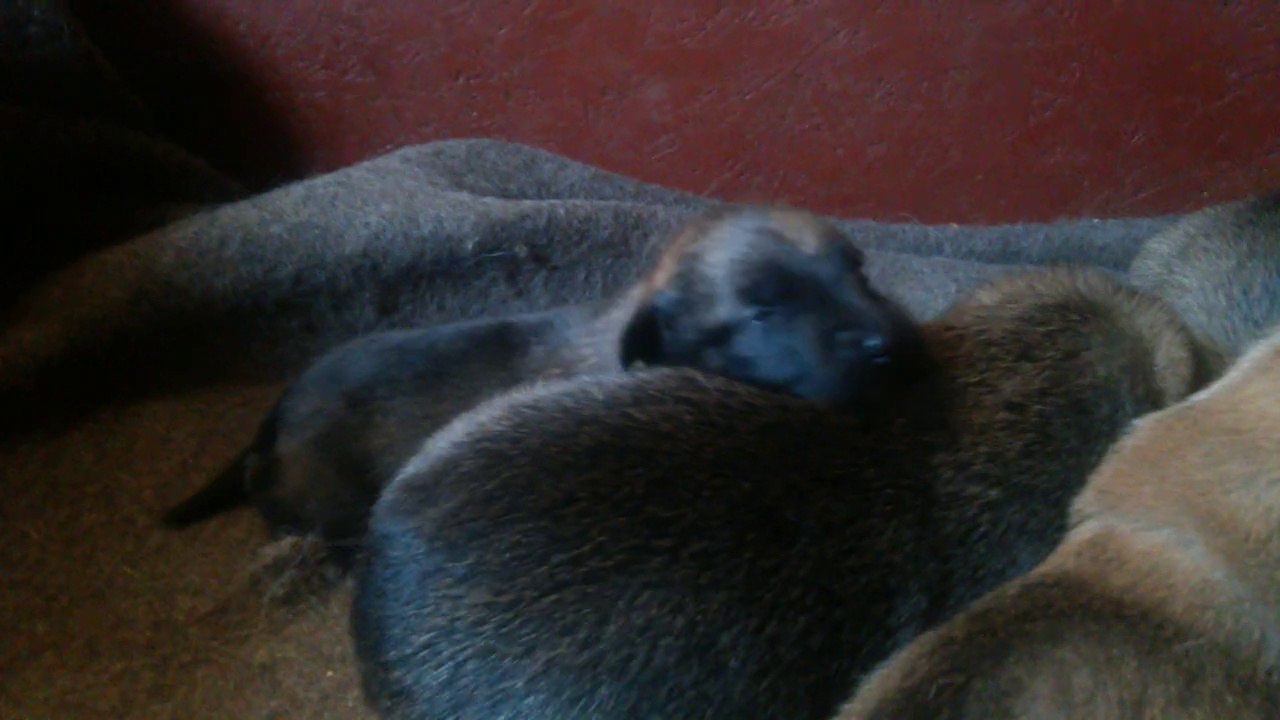 Be Aware H's @ Das große Krabbeln - Teil 2