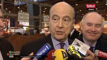 Alain Juppé sur les départementales :