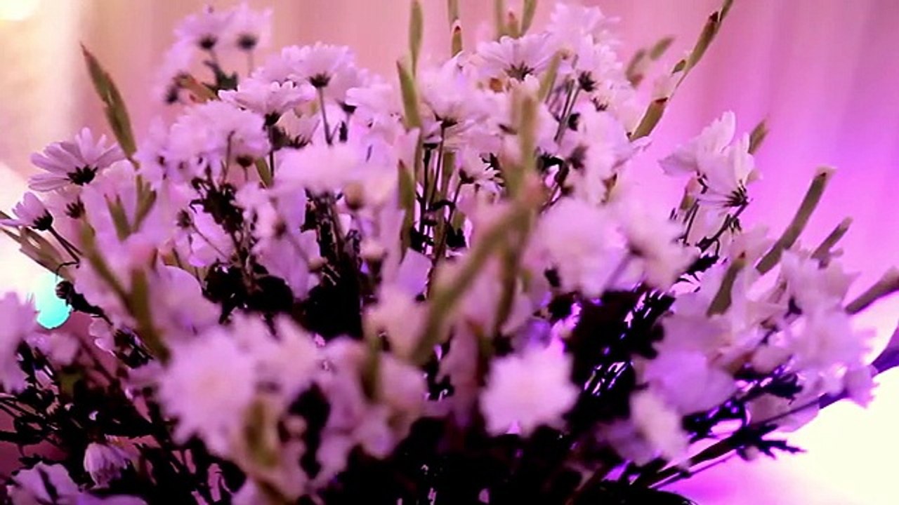 Verkha & Sarang Wedding Highlights
