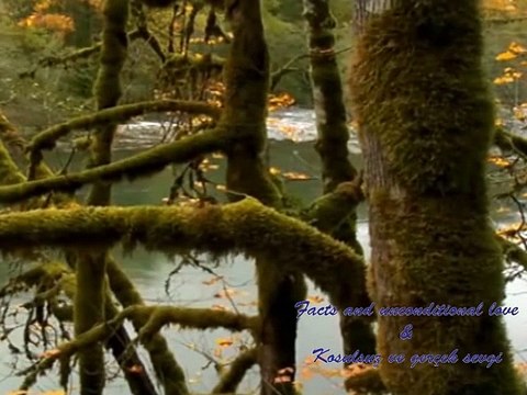 003 Softly and Tenderly