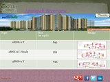Buy Amrapali Riverview 2,3 BHK Residential apartments in Noida