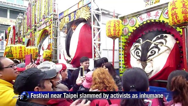 Controversial 'holy pig' festival draws thousands in Taiwan