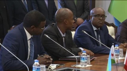 Cibuti Sağlık Bakanı Osman: "Cibuti, Bölgede İstikrar Olan Tek Ülke"