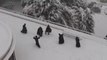 Des moines fon une bataille de boule de neige : de vrais gamins!