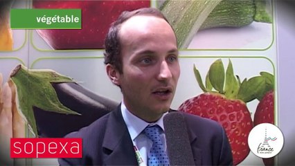 Vincent Canavese - Directeur du développement groupe Canavese