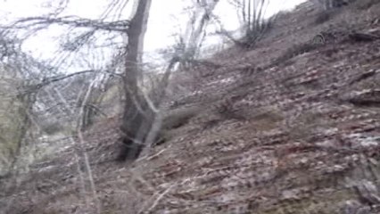 Samur Dağı, İlk Dağcı Kafilesini Ağırladı