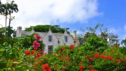 Top Caribbean Heritage Holidays StNicholasAbbey VillaPackage