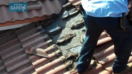 Ils entendaient des petits cris provenant de leur toit, leur découverte est effroyable