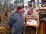 staroetv.su / Городок (Россия, 2008) 169 выпуск. Городок: откуда ветер дует