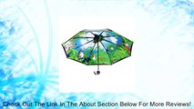 New Japanese Anime Umbrella Spirited Away Collection Cute Totoro Double Folding Sunny Umbrella (Collection Black) Review