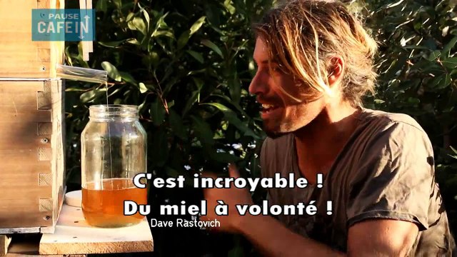 Cette ruche révolutionnaire permet de récolter le miel sans perturber les abeilles