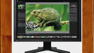 Eizo Eizo Monitor CG241W-BK Ecran PC LCD 24 (61 cm) DVI Noir