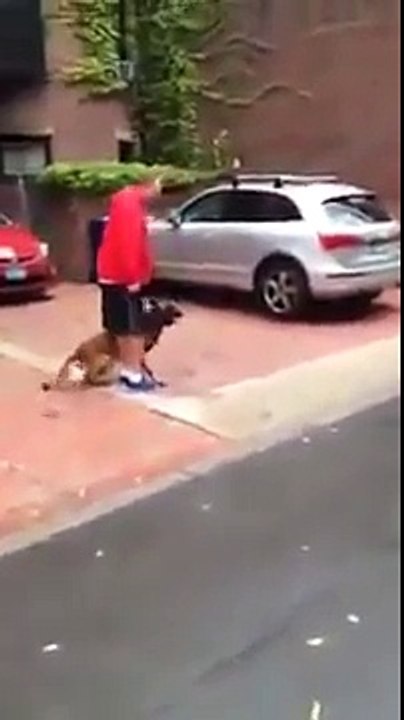 Perro entrenado ataca para defender a su dueño