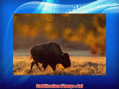 Tamron Objectif SP 150-600 mm F/5-63 Di USD - Monture Sony