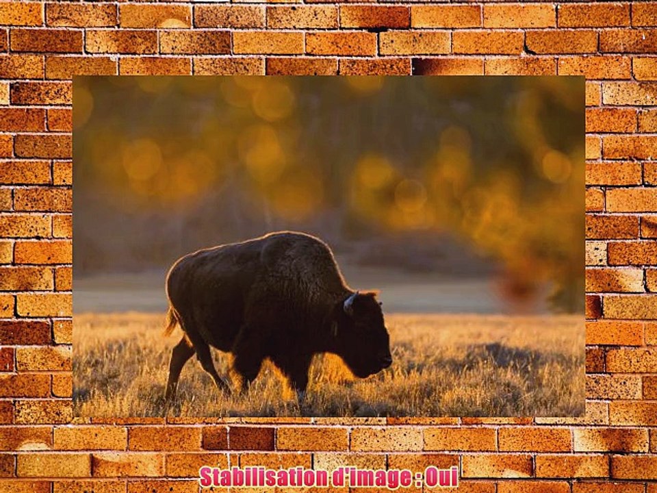 Tamron Objectif SP 150-600 mm F/5-63 Di VC USD Noir - Monture Canon