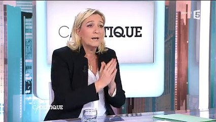 Quand Marine Le Pen se réjouissait de la validation de l'expression "Français de souche"