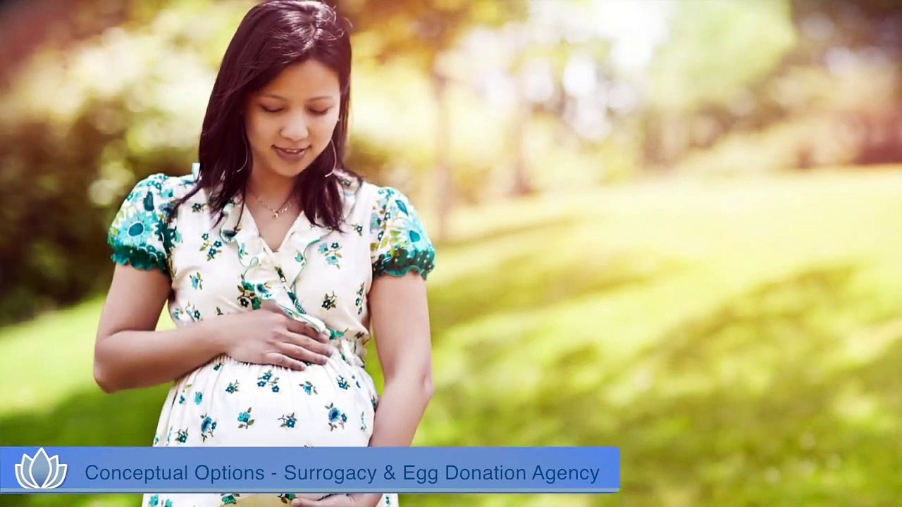 Conceptual Options Surrogacy Agency and Egg Donation Agency
