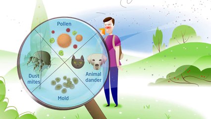 Allergen immunotherapy explained | facingallergies.com