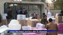 UNHCR distributes aid to displaced Iraqis who fled Anbar