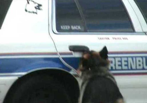 Smart Police Dog Can Open and Close Car Doors