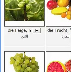 فواكه2, تعليم , المانى , اللغة الالمانية ,الالمانية , تعلم