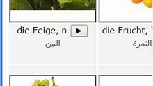 فواكه2, تعليم , المانى , اللغة الالمانية ,الالمانية , تعلم