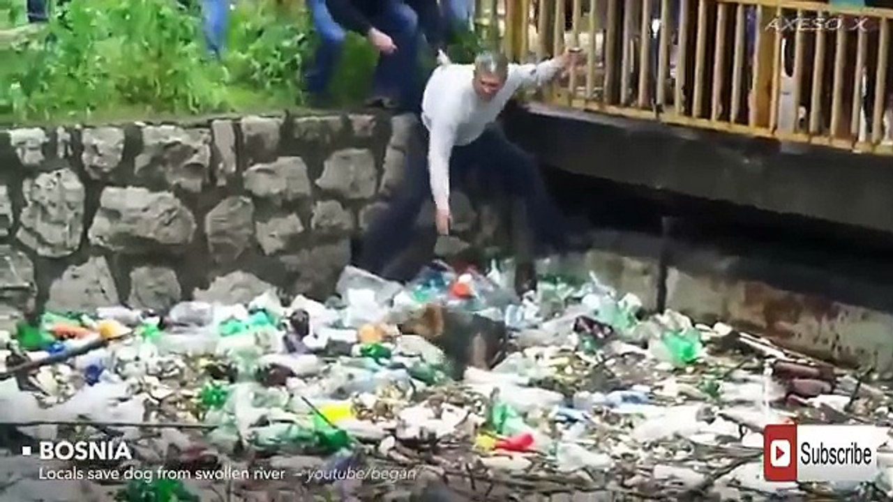Shocking Video that made the whole world cry - YouTube