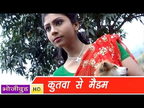 HD कुतवा से मैडम | Kutva Se Maidam | Angika Hot Songs | Rajan Singh । Bhojpuri Hot Song 2014