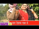 HD डाल  देहलस पाछा से - Dal Dehlas Pachha Se | Daal Dehlas Pachha Se - Bhojpuri Hot Songs 2014