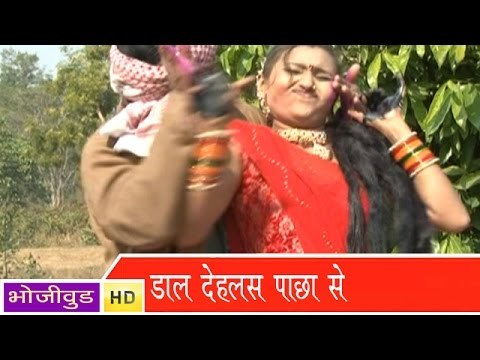 HD डाल देहलस पाछा से - Dal Dehlas Pachha Se | Daal Dehlas Pachha Se - Bhojpuri Hot Songs 2014