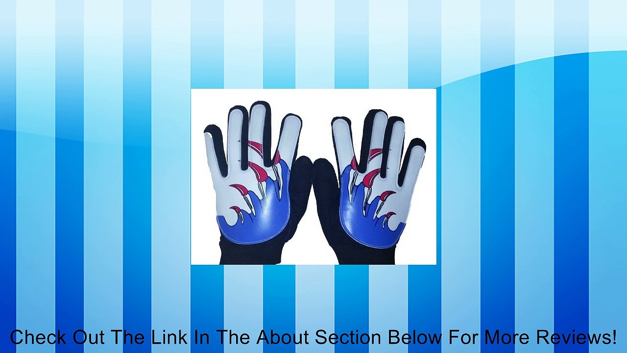 USA Defender Soccer Goalie Gloves Review