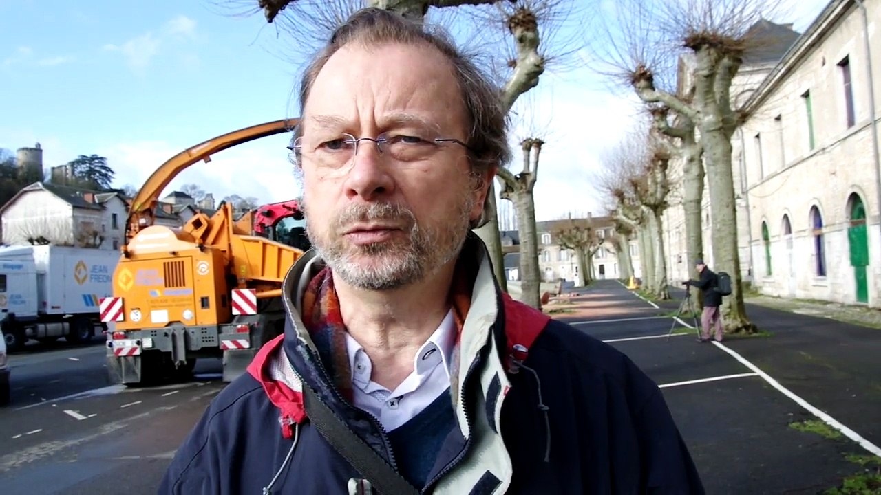 VIDEO. A Vendôme, les arbres du quartier de cavalerie abattus