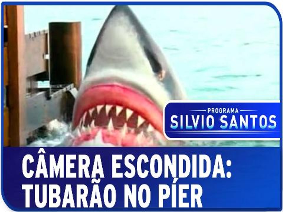 Tubarão no Píer