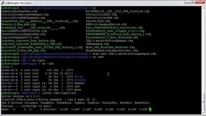 RetroPie: Testing joystick on Raspberry Pi