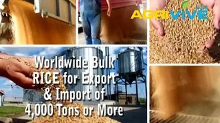 Purchase Rice Import, Rice Import, Rice Import, Rice Import, Rice Import, Rice Import