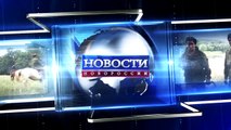 Видео с передовой Санжаровка Дебальцевский котел 11.02.2015