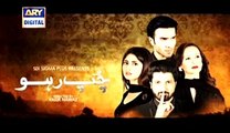 Chup Raho Episode 26 On Ary Digital in High Quality 24th Feburary 2015 - www.dramaserialpk.blogspot.com