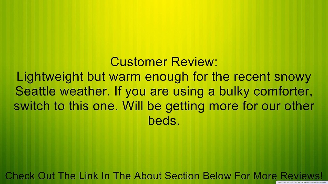 Mulberry West Premium Luxury Silk-Filled Polished Cotton Comforter, Twin X-Long Review