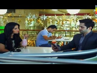 Aik Pal Episode 14 Full HUM TV Drama